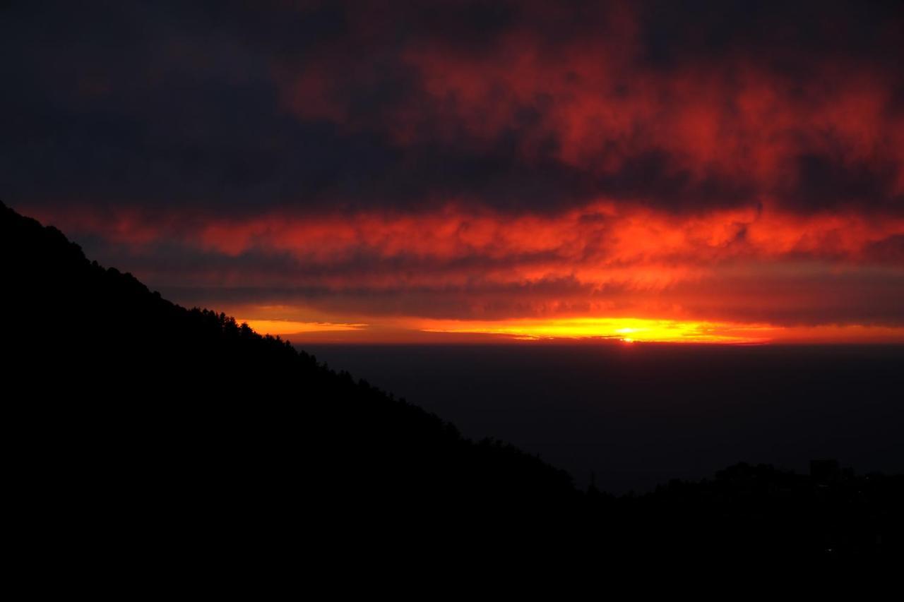 Mitra Mcleodganj Hostel McLeod Gandzs Kültér fotó