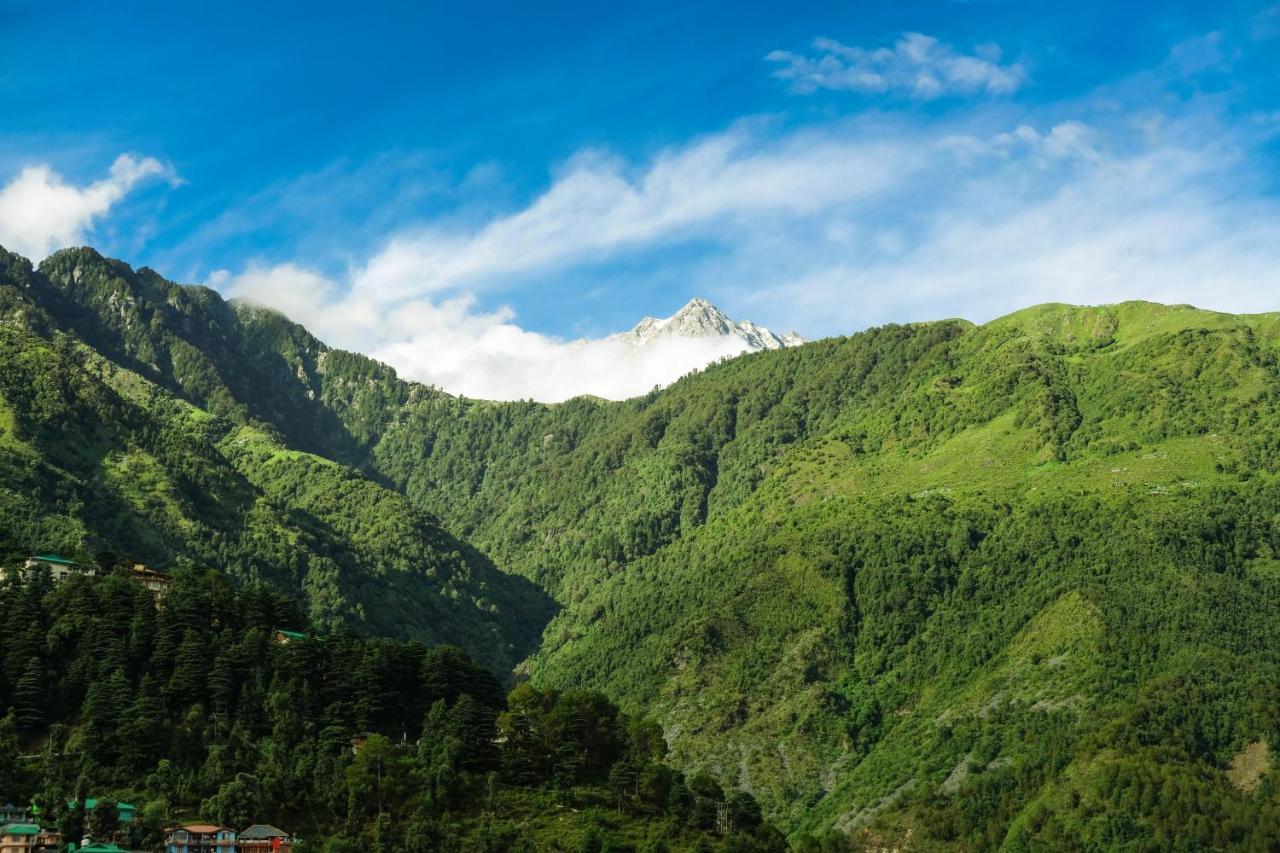 Mitra Mcleodganj Hostel McLeod Gandzs Kültér fotó